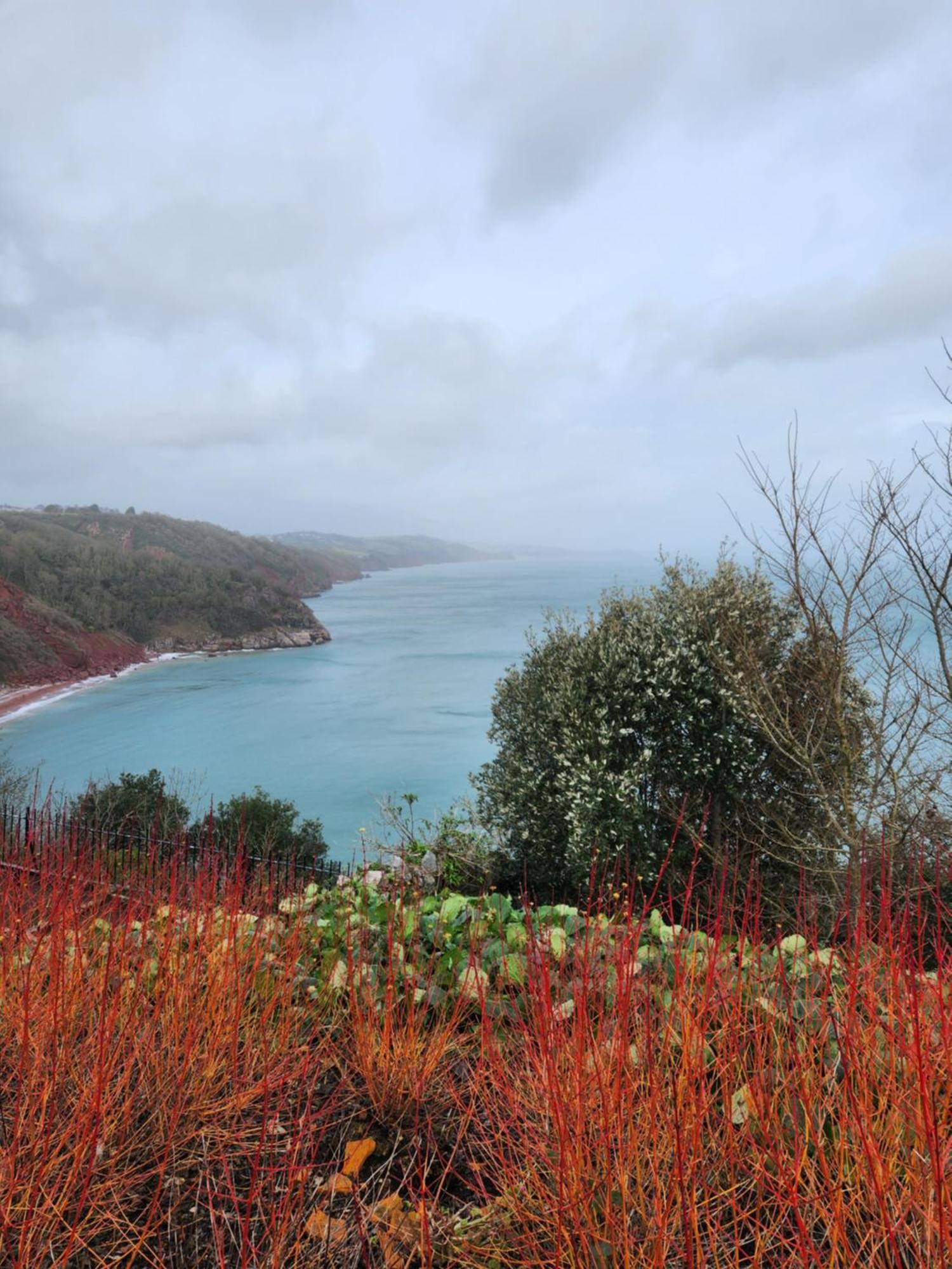 Rose Court Holiday Apartments Torquay Buitenkant foto