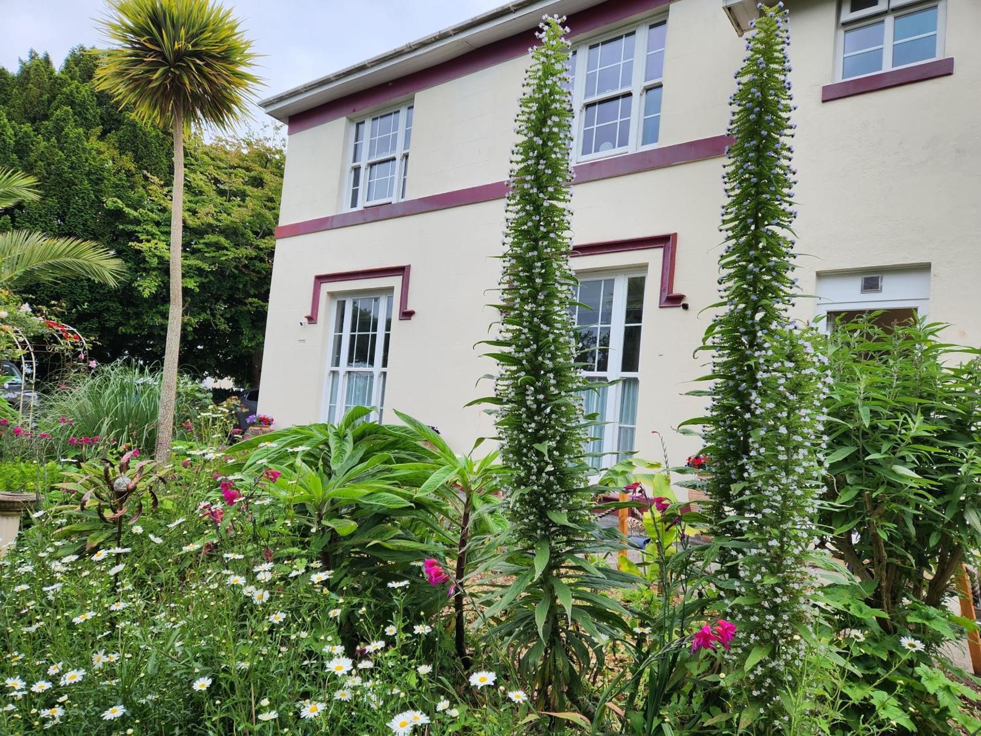 Rose Court Holiday Apartments Torquay Buitenkant foto