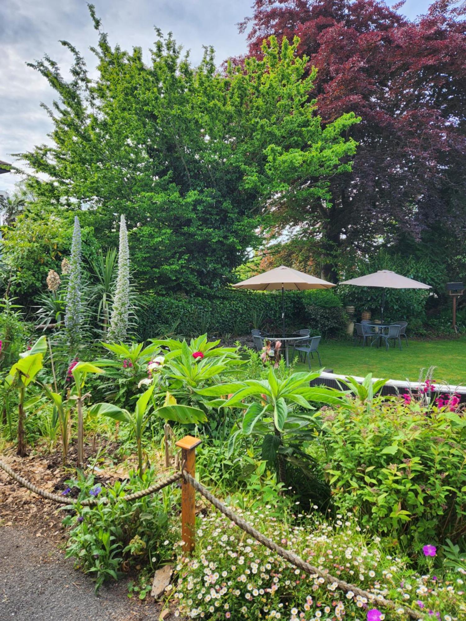 Rose Court Holiday Apartments Torquay Buitenkant foto