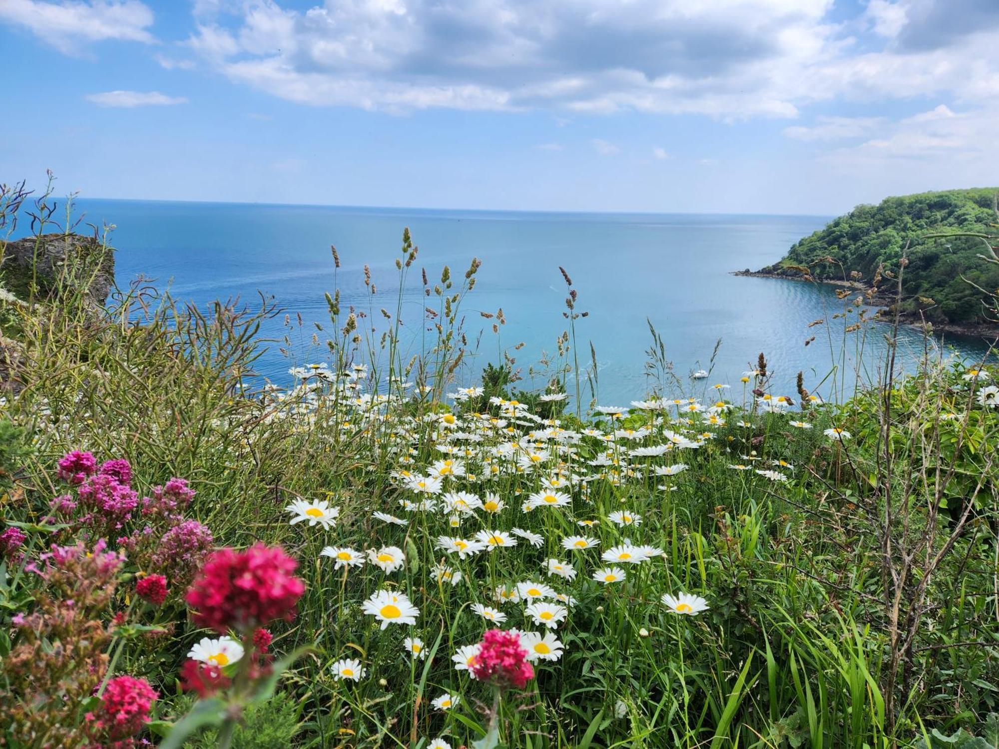 Rose Court Holiday Apartments Torquay Buitenkant foto