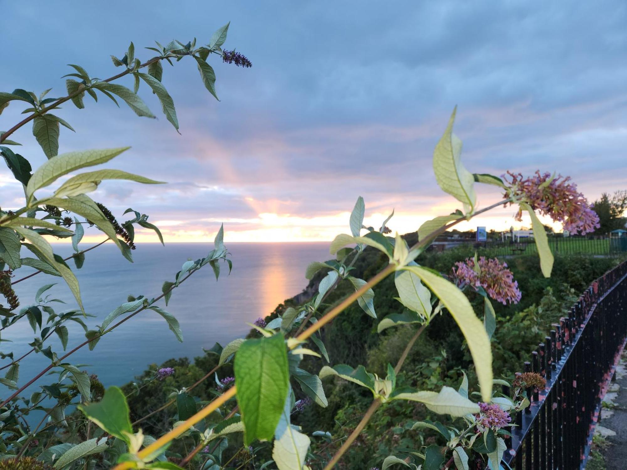 Rose Court Holiday Apartments Torquay Buitenkant foto