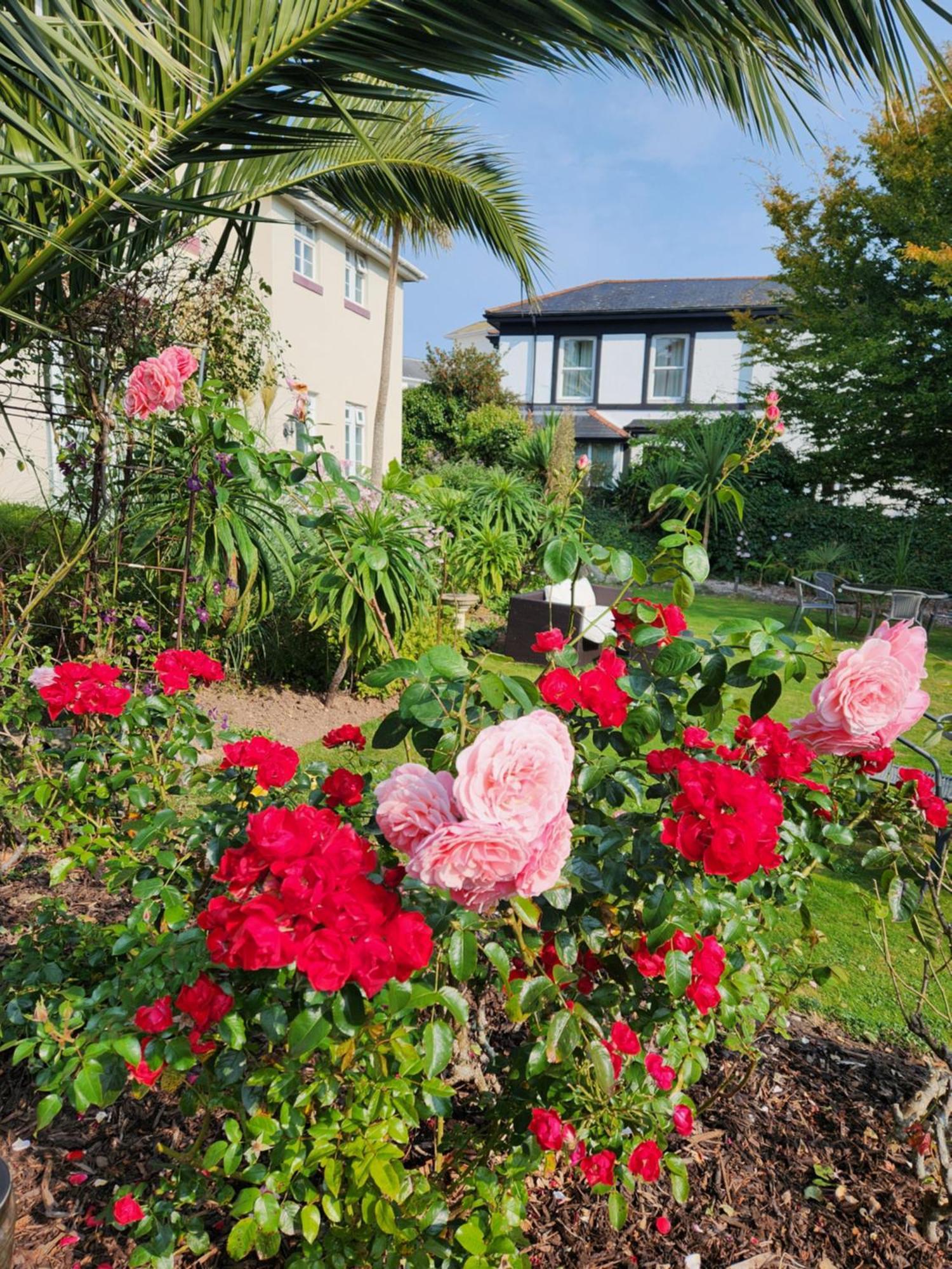 Rose Court Holiday Apartments Torquay Buitenkant foto